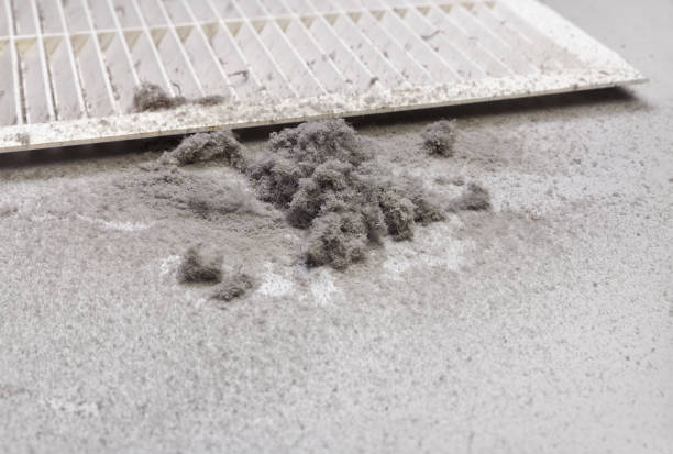 Best Commercial HVAC Duct Cleaning  in Seeley, CA