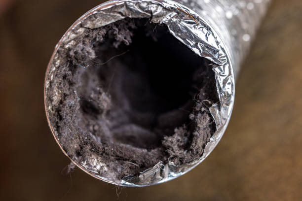 Best HVAC Maintenance and Cleaning  in Seeley, CA