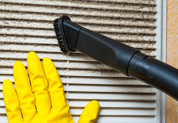 Best Air Duct Sanitizing Services  in Seeley, CA